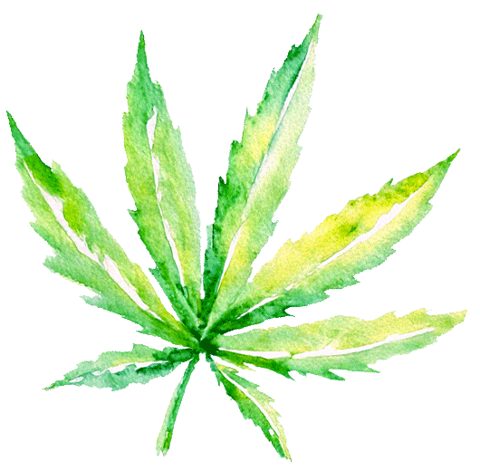 illustration of a cannabis leaf
